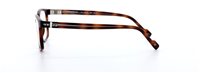 Montura de gafas Stepper SI20145-F940 - SI20145-F940